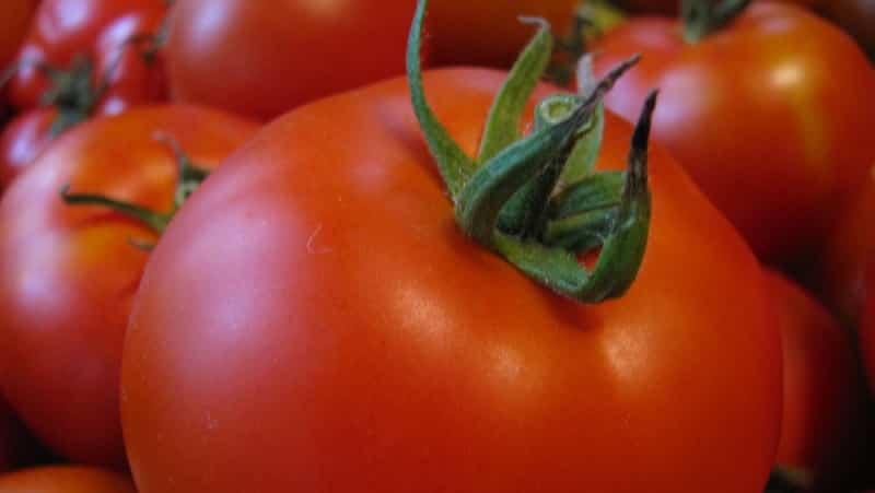 Unpretentious, universal to use, early ripening tomato Druzhok f1: reviews and growing secrets