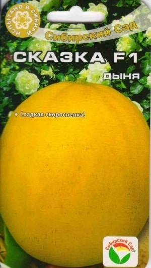 Early ripe yellow melon Fairy Tale F1: cultivation and care, nuances of choice when purchasing ripe fruits