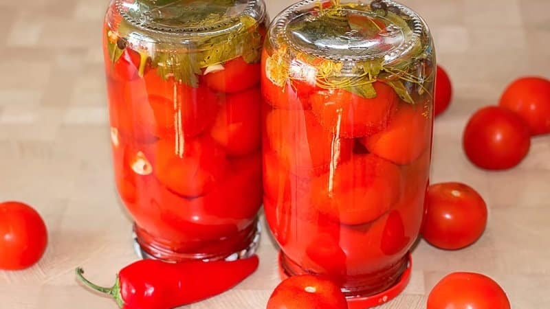 An early-ripening and unpretentious variety that produces a bountiful harvest: the Primadonna tomato is a favorite of domestic gardeners