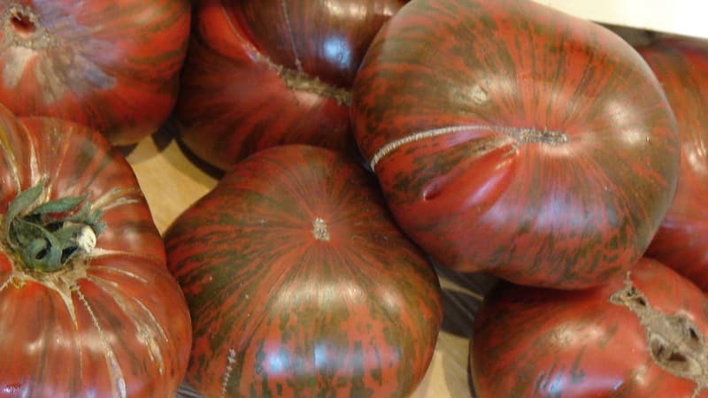 A variety with an unusual color, unique taste and appetizing name - Striped Chocolate tomato