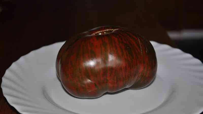 A variety with an unusual color, unique taste and appetizing name - Striped Chocolate tomato