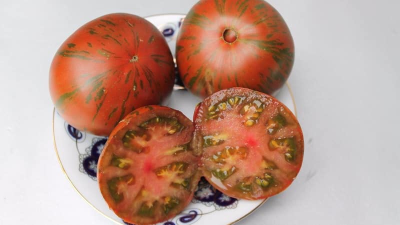 A variety with an unusual color, unique taste and appetizing name - Striped Chocolate tomato