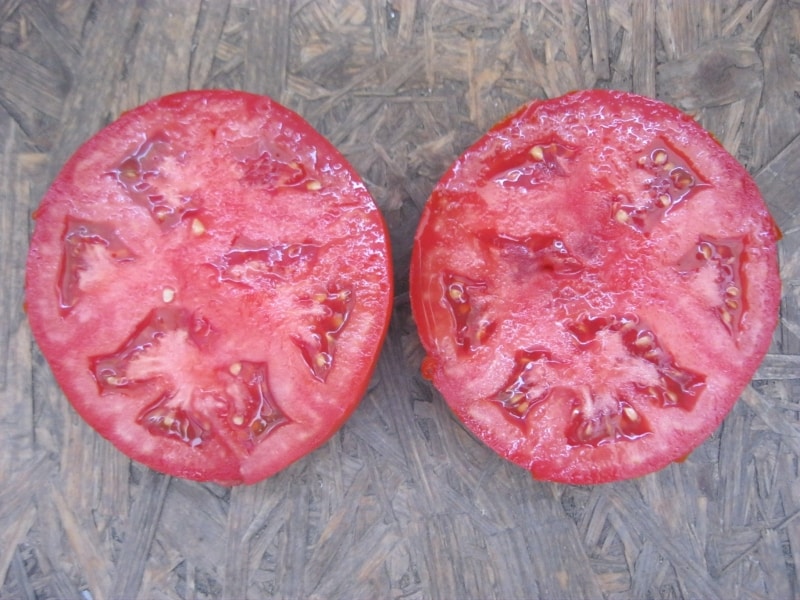 One of the earliest tomato varieties is the French hybrid Supernova F1