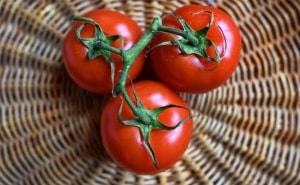 Is it worth planting a Betta tomato on your plot? Characteristics and photos of the variety, nuances of cultivation