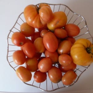 Let's learn how to store tomatoes at home and enjoy fresh fruits until winter