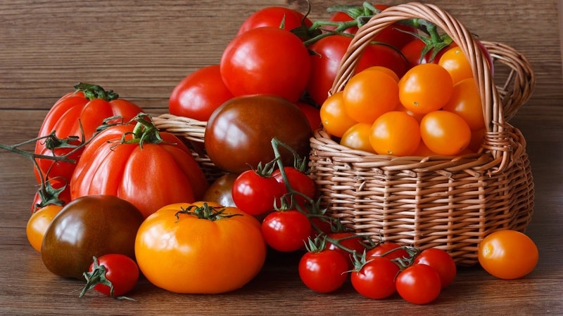 Let's learn how to store tomatoes at home and enjoy fresh fruits until winter