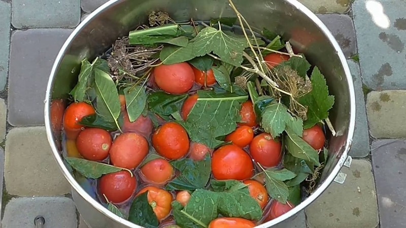 Let's learn how to store tomatoes at home and enjoy fresh fruits until winter