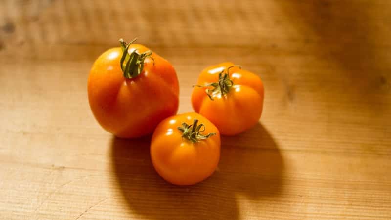 Bright, extremely useful and adored by children tomato Duckling for growing in greenhouses and open ground