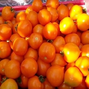 Bright, extremely useful and adored by children tomato Duckling for growing in greenhouses and open ground