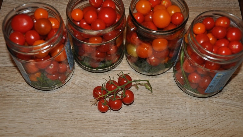 Preparing cherry tomatoes for the winter: the most delicious preserved recipes and recommendations for their preparation
