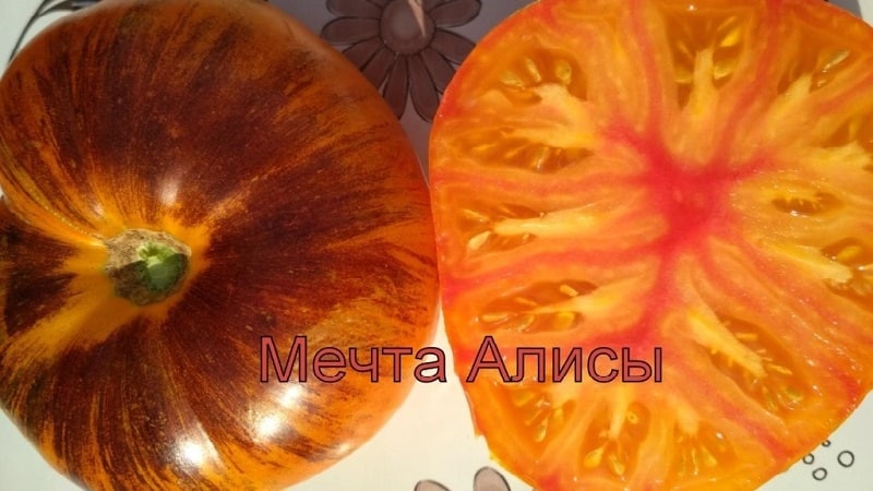 Mesmerizing in appearance, bicolor fruits with amazing taste: Alice's Dream tomato