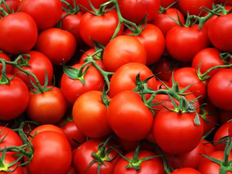 Is it worth planting a Betta tomato on your plot? Characteristics and photos of the variety, nuances of cultivation