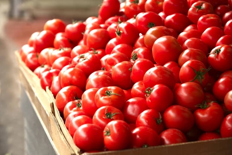 Is it worth planting a Betta tomato on your plot? Characteristics and photos of the variety, nuances of cultivation