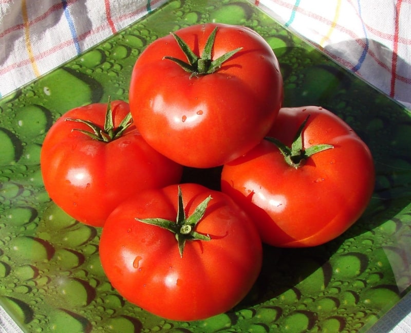 Is it worth planting a Betta tomato on your plot? Characteristics and photos of the variety, nuances of cultivation