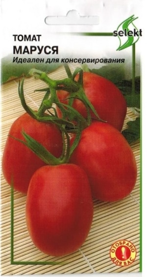 An unpretentious tomato Marusya with excellent taste: we grow it ourselves and enjoy the harvest