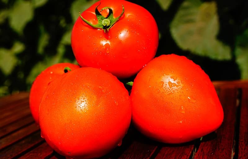 One of the earliest tomato varieties is the French hybrid Supernova F1