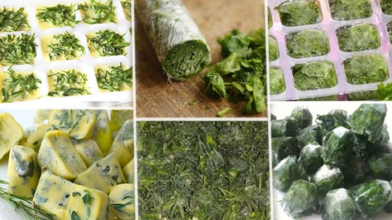 How to freeze dill for the winter in the freezer: methods of preparation and further use