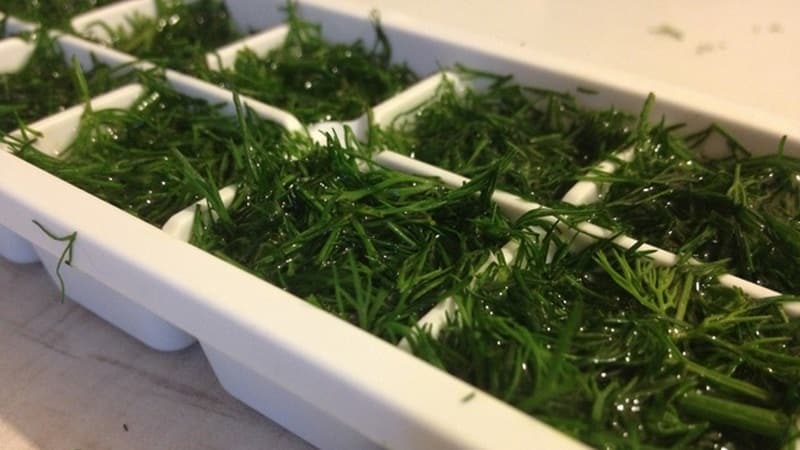 How to freeze dill for the winter in the freezer: methods of preparation and further use