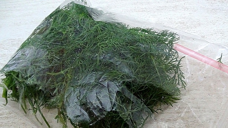 How to freeze dill for the winter in the freezer: methods of preparation and further use
