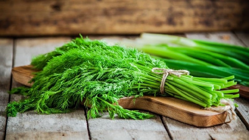 How to freeze dill for the winter in the freezer: methods of preparation and further use