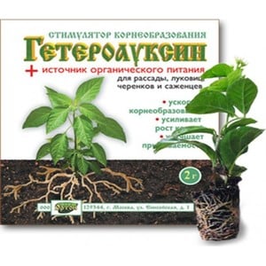 High-yielding and early-ripening Morozko pepper variety for greenhouses and open ground