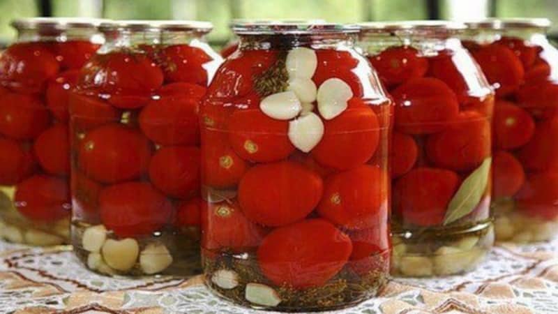 We get a high yield with minimal costs and risks by growing a productive Kolkhoz tomato