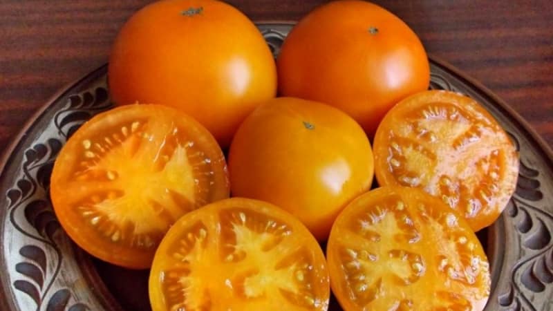Tomato Orange miracle is a real find for any summer resident