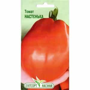 A variety that is equally good for both greenhouses and open ground - the Nastenka tomato and the method of growing it