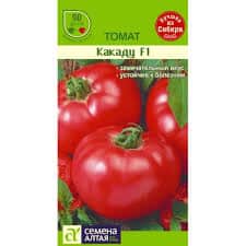 A bright decoration in your beds - Kakadu tomato f1: reviews and secrets of getting a bountiful harvest