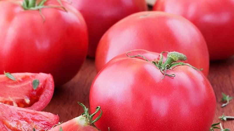 Not capricious to care for, but at the same time rich in yield, the Nice tomato: photos, reviews and growing secrets