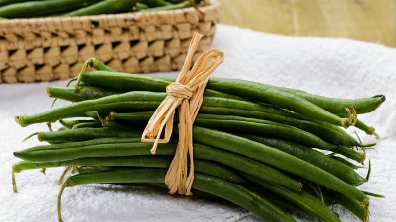 In what form and how to properly freeze green beans at home