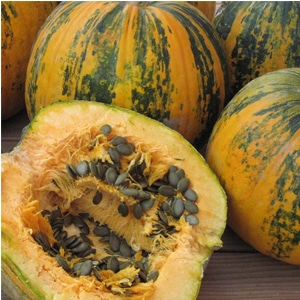 Description of pumpkin (hard-bark, pepo): composition and properties, characteristics, nuances of cultivation and use