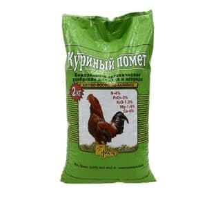 A variety with a melon aroma and high yield - Russian pumpkin and the secrets of its cultivation