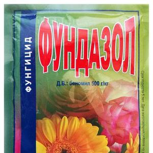 A variety with a melon aroma and high yield - Russian pumpkin and the secrets of its cultivation