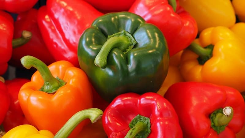 Where and how to store bell peppers for the winter: fresh, frozen, dried, dried and canned