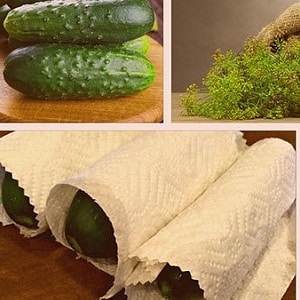 How to store fresh cucumbers in the refrigerator for as long as possible: the best methods and useful tips