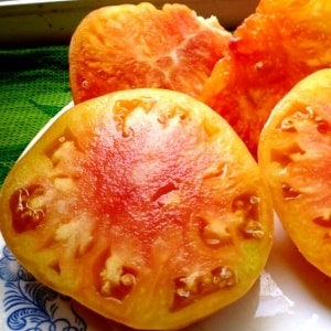 The variety that will become your favorite is the Grapefruit tomato: large, easy to care for and amazingly tasty