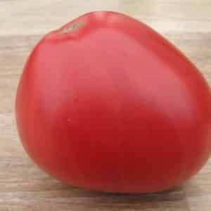 Features of agricultural technology of the Loving Heart red variety