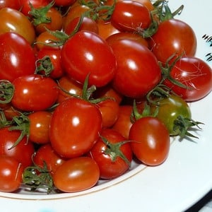 Adored by children and adults, this bright greenhouse hybrid with a fruity flavor is the Yellow Date tomato.