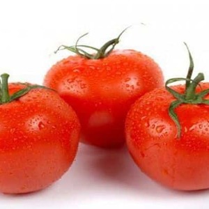 Why is the Gardener’s Dream tomato so loved and popular: description of the variety and reviews from experienced summer residents
