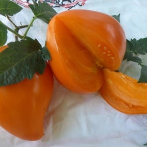 Giant delicious orange fruits - orange strawberry tomato