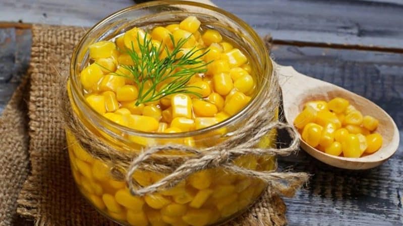 Where and how to store boiled corn correctly: various methods and periods of freshness preservation