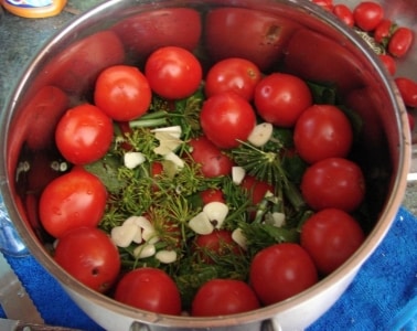 Top 10 best recipes for pickling tomatoes in a pan: the fastest, simplest, but delicious cooking options