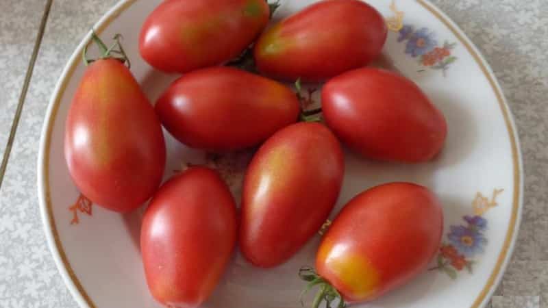 A rich harvest of small plum-shaped tomatoes from each bush - Pink raisin tomato and the secrets of caring for it
