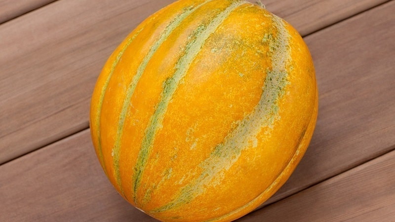 What is good about the Ethiopian melon and why you should try growing it yourself