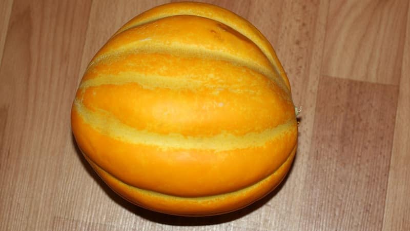 What is good about the Ethiopian melon and why you should try growing it yourself