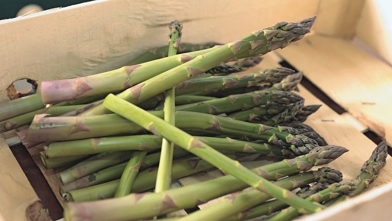 What is asparagus, what does it look like and how is it used?