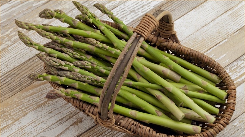 What is asparagus, what does it look like and how is it used?