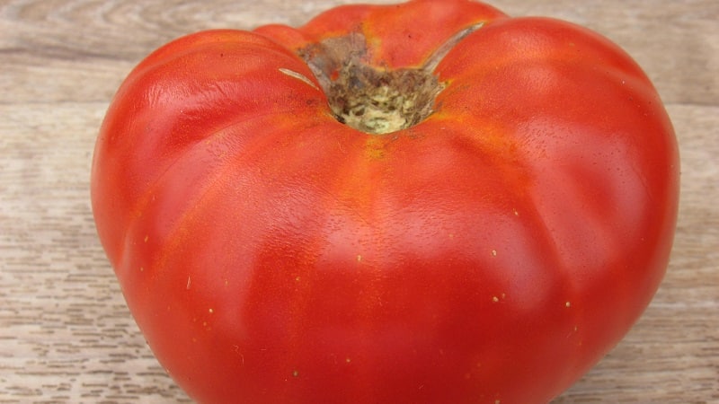 It will give a late harvest, but will live up to expectations - the Andreevsky surprise tomato