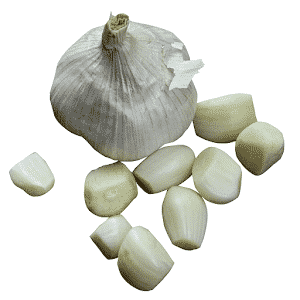 What happens if you eat garlic every day, and how much to eat so as not to harm your health